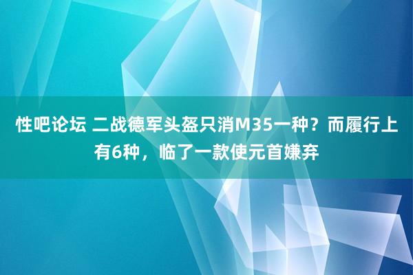 性吧论坛 二战德军头盔只消M35一种？而履行上有6种，临了一款使元首嫌弃