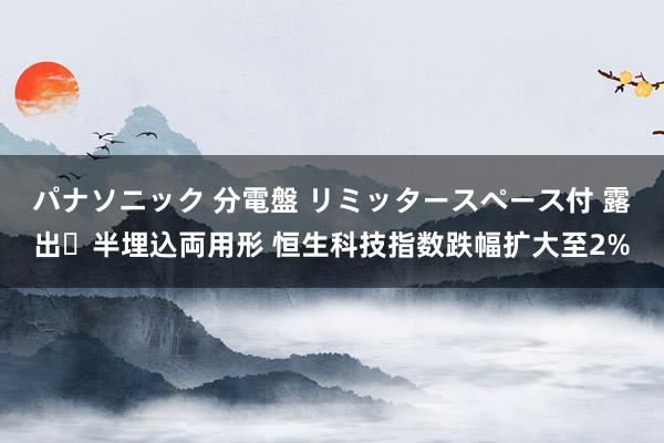 パナソニック 分電盤 リミッタースペース付 露出・半埋込両用形 恒生科技指数跌幅扩大至2%