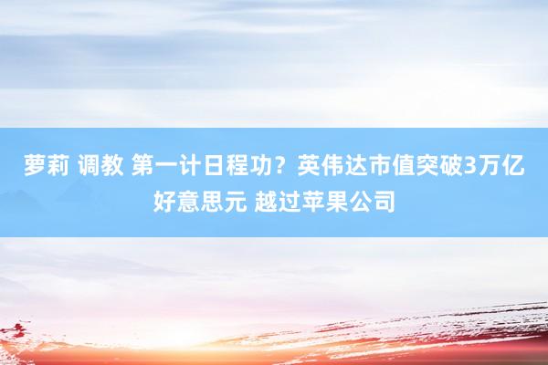 萝莉 调教 第一计日程功？英伟达市值突破3万亿好意思元 越过苹果公司