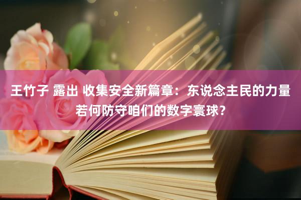 王竹子 露出 收集安全新篇章：东说念主民的力量若何防守咱们的数字寰球？