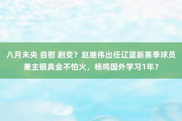 八月未央 自慰 剧变？赵继伟出任辽篮新赛季球员兼主锻真金不怕火，杨鸣国外学习1年？