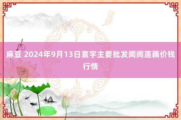 麻豆 2024年9月13日寰宇主要批发阛阓莲藕价钱行情