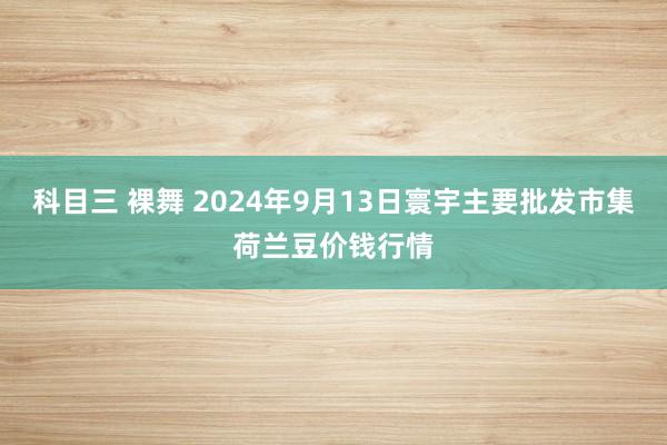 科目三 裸舞 2024年9月13日寰宇主要批发市集荷兰豆价钱行情