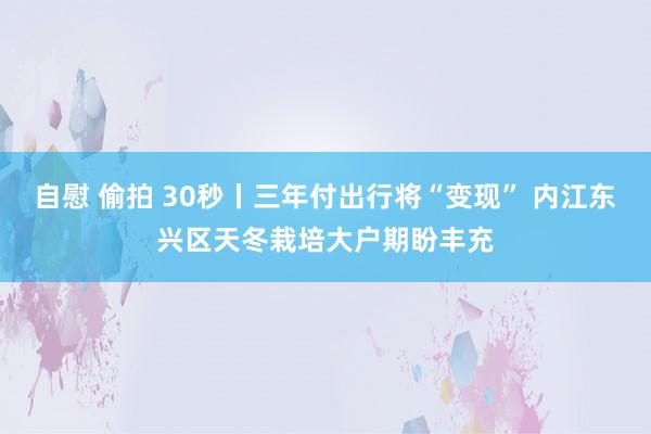 自慰 偷拍 30秒丨三年付出行将“变现” 内江东兴区天冬栽培大户期盼丰充