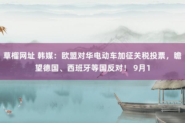 草榴网址 韩媒：欧盟对华电动车加征关税投票，瞻望德国、西班牙等国反对！ 9月1