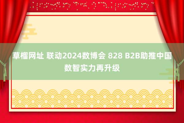 草榴网址 联动2024数博会 828 B2B助推中国数智实力再升级