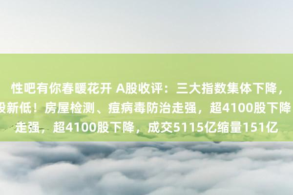 性吧有你春暖花开 A股收评：三大指数集体下降，深成指、创业板创阶段新低！房屋检测、痘病毒防治走强，超4100股下降，成交5115亿缩量151亿