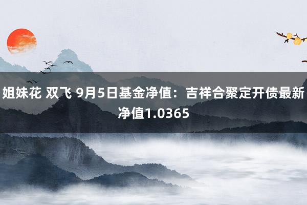 姐妹花 双飞 9月5日基金净值：吉祥合聚定开债最新净值1.0365