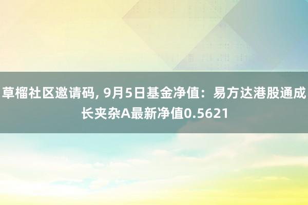 草榴社区邀请码， 9月5日基金净值：易方达港股通成长夹杂A最新净值0.5621