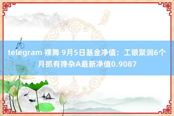 telegram 裸舞 9月5日基金净值：工银聚润6个月抓有搀杂A最新净值0.9087