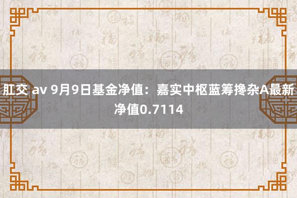 肛交 av 9月9日基金净值：嘉实中枢蓝筹搀杂A最新净值0.7114