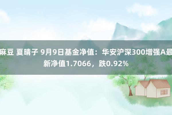 麻豆 夏晴子 9月9日基金净值：华安沪深300增强A最新净值1.7066，跌0.92%