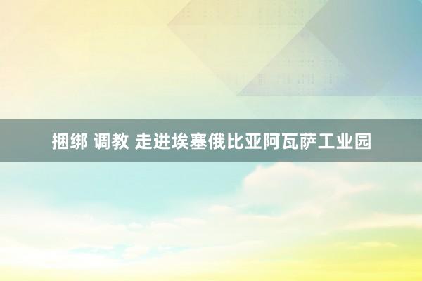 捆绑 调教 走进埃塞俄比亚阿瓦萨工业园