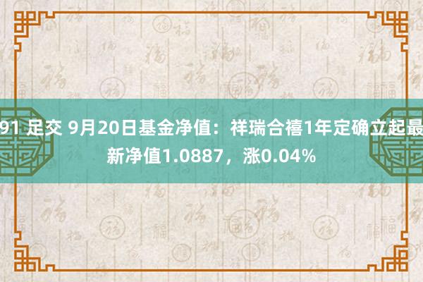 91 足交 9月20日基金净值：祥瑞合禧1年定确立起最新净值1.0887，涨0.04%