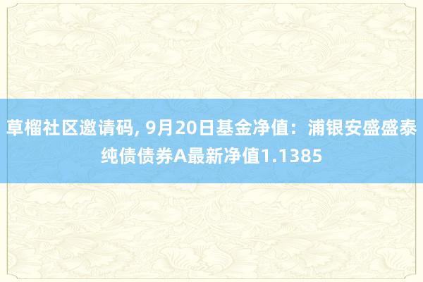 草榴社区邀请码， 9月20日基金净值：浦银安盛盛泰纯债债券A最新净值1.1385