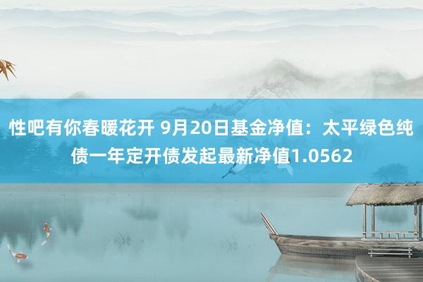 性吧有你春暖花开 9月20日基金净值：太平绿色纯债一年定开债发起最新净值1.0562