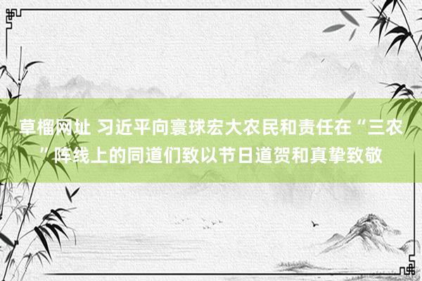 草榴网址 习近平向寰球宏大农民和责任在“三农”阵线上的同道们致以节日道贺和真挚致敬