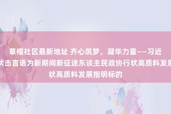 草榴社区最新地址 齐心筑梦，凝华力量——习近平总文书伏击言语为新期间新征途东谈主民政协行状高质料发展指明标的