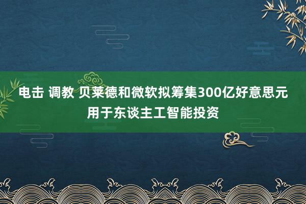 电击 调教 贝莱德和微软拟筹集300亿好意思元用于东谈主工智能投资