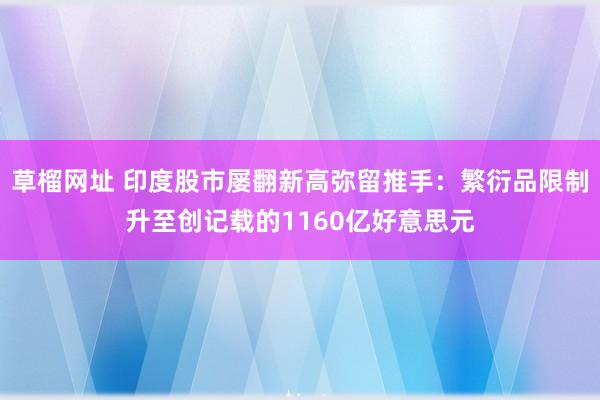 草榴网址 印度股市屡翻新高弥留推手：繁衍品限制升至创记载的1160亿好意思元