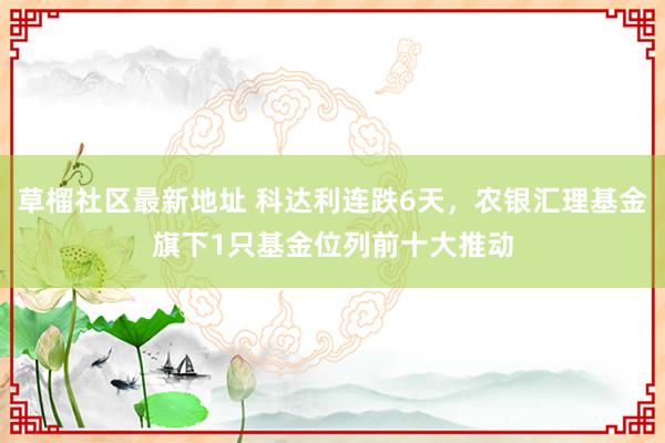 草榴社区最新地址 科达利连跌6天，农银汇理基金旗下1只基金位列前十大推动