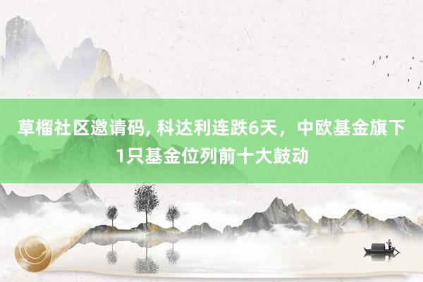 草榴社区邀请码， 科达利连跌6天，中欧基金旗下1只基金位列前十大鼓动