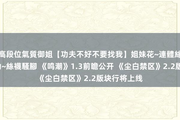 高段位氣質御姐【功夫不好不要找我】姐妹花~連體絲襪~大奶晃動~絲襪騷腳 《鸣潮》1.3前瞻公开 《尘白禁区》2.2版块行将上线