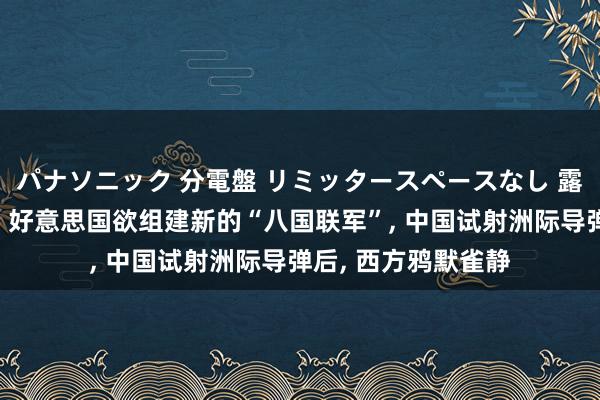 パナソニック 分電盤 リミッタースペースなし 露出・半埋込両用形 好意思国欲组建新的“八国联军”， 中国试射洲际导弹后， 西方鸦默雀静