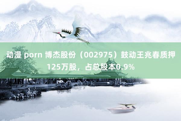 动漫 porn 博杰股份（002975）鼓动王兆春质押125万股，占总股本0.9%