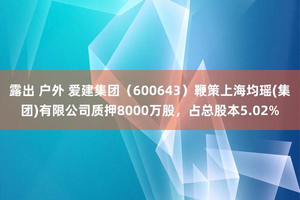 露出 户外 爱建集团（600643）鞭策上海均瑶(集团)有限公司质押8000万股，占总股本5.02%