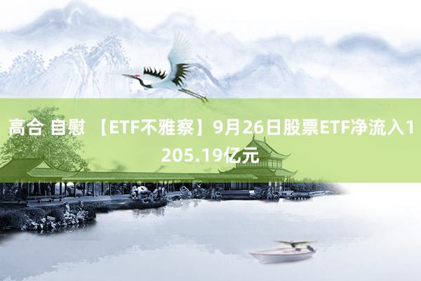 高合 自慰 【ETF不雅察】9月26日股票ETF净流入1205.19亿元