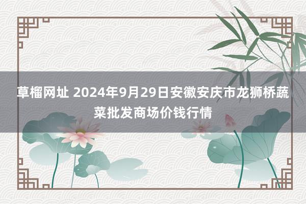 草榴网址 2024年9月29日安徽安庆市龙狮桥蔬菜批发商场价钱行情