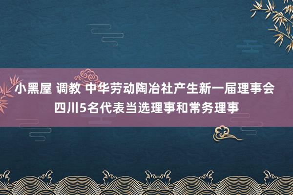 小黑屋 调教 中华劳动陶冶社产生新一届理事会 四川5名代表当选理事和常务理事