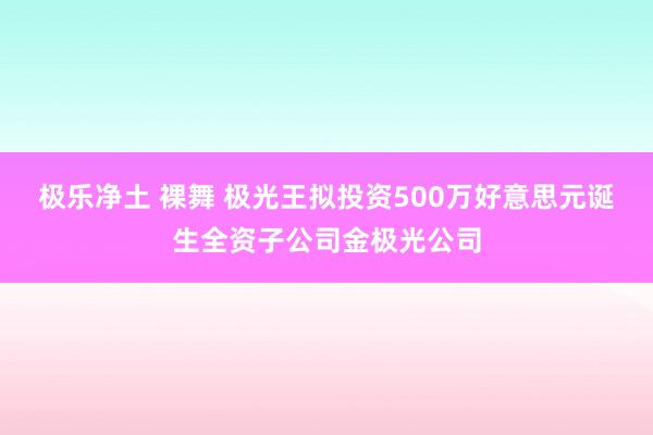 极乐净土 裸舞 极光王拟投资500万好意思元诞生全资子公司金极光公司