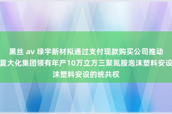 黑丝 av 绿宇新材拟通过支付现款购买公司推动河南省华夏大化集团领有年产10万立方三聚氰胺泡沫塑料安设的统共权