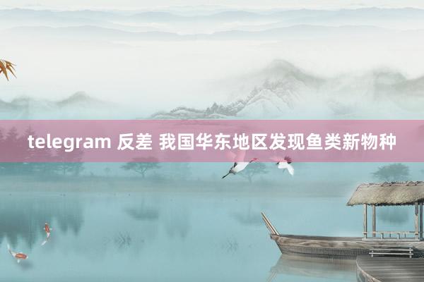 telegram 反差 我国华东地区发现鱼类新物种