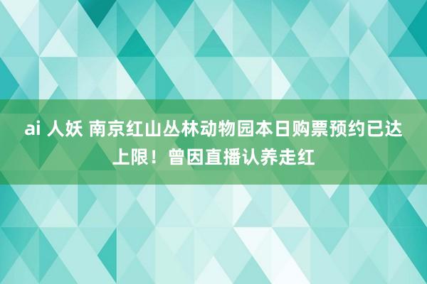 ai 人妖 南京红山丛林动物园本日购票预约已达上限！曾因直播认养走红