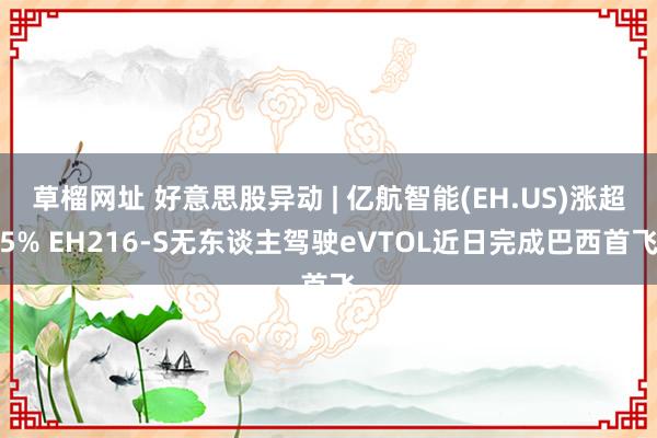 草榴网址 好意思股异动 | 亿航智能(EH.US)涨超5% EH216-S无东谈主驾驶eVTOL近日完成巴西首飞