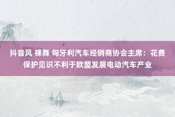 抖音风 裸舞 匈牙利汽车经销商协会主席：花费保护见识不利于欧盟发展电动汽车产业