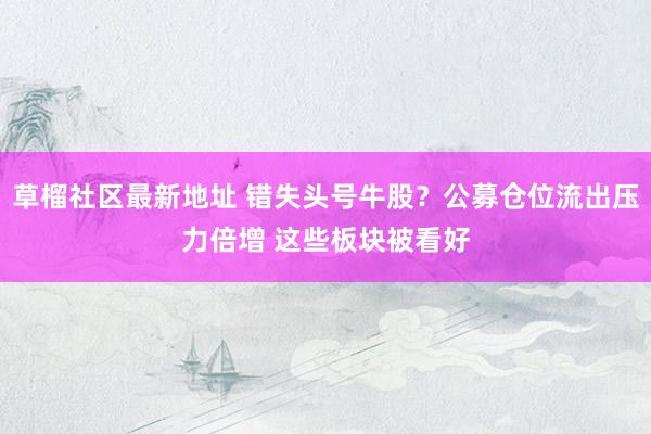 草榴社区最新地址 错失头号牛股？公募仓位流出压力倍增 这些板块被看好