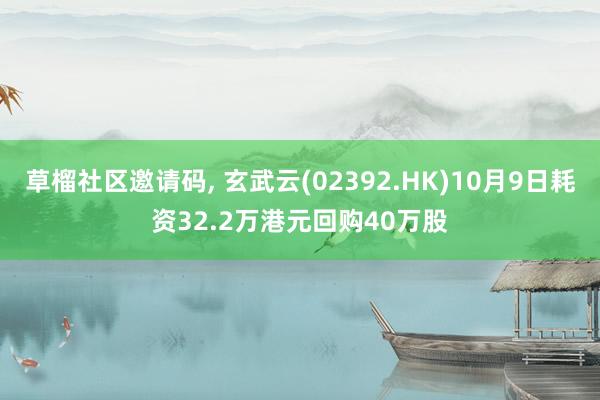 草榴社区邀请码， 玄武云(02392.HK)10月9日耗资32.2万港元回购40万股