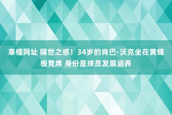 草榴网址 隔世之感！34岁的肯巴-沃克坐在黄蜂板凳席 身份是球员发展涵养