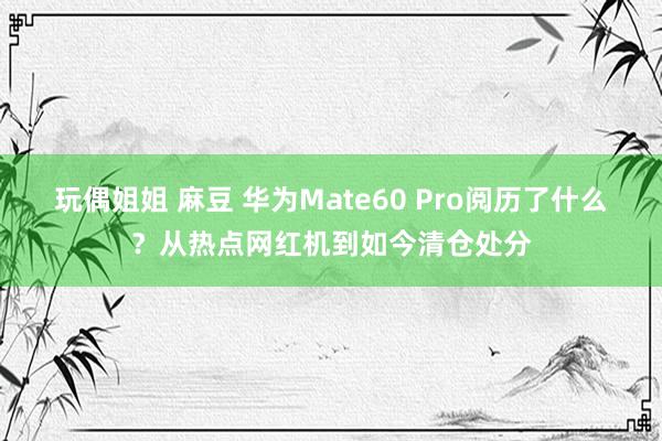 玩偶姐姐 麻豆 华为Mate60 Pro阅历了什么？从热点网红机到如今清仓处分