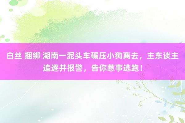 白丝 捆绑 湖南一泥头车碾压小狗离去，主东谈主追逐并报警，告你惹事逃跑！