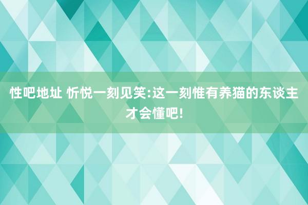 性吧地址 忻悦一刻见笑:这一刻惟有养猫的东谈主才会懂吧!