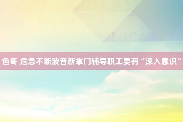 色哥 危急不断　波音新掌门辅导职工要有“深入意识”