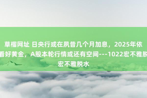 草榴网址 日央行或在夙昔几个月加息，2025年依旧看好黄金，A股本轮行情或还有空间---1022宏不雅脱水