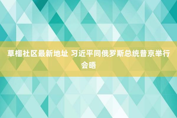 草榴社区最新地址 习近平同俄罗斯总统普京举行会晤