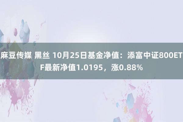 麻豆传媒 黑丝 10月25日基金净值：添富中证800ETF最新净值1.0195，涨0.88%