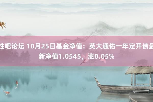 性吧论坛 10月25日基金净值：英大通佑一年定开债最新净值1.0545，涨0.05%